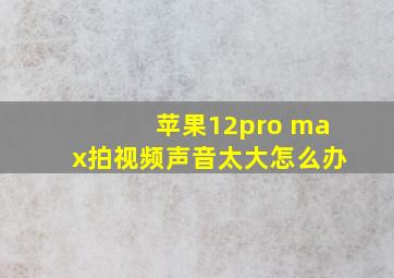 苹果12pro max拍视频声音太大怎么办